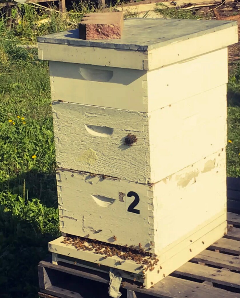 a hive box, labeled "2"with bees near an opening at the bottom. 