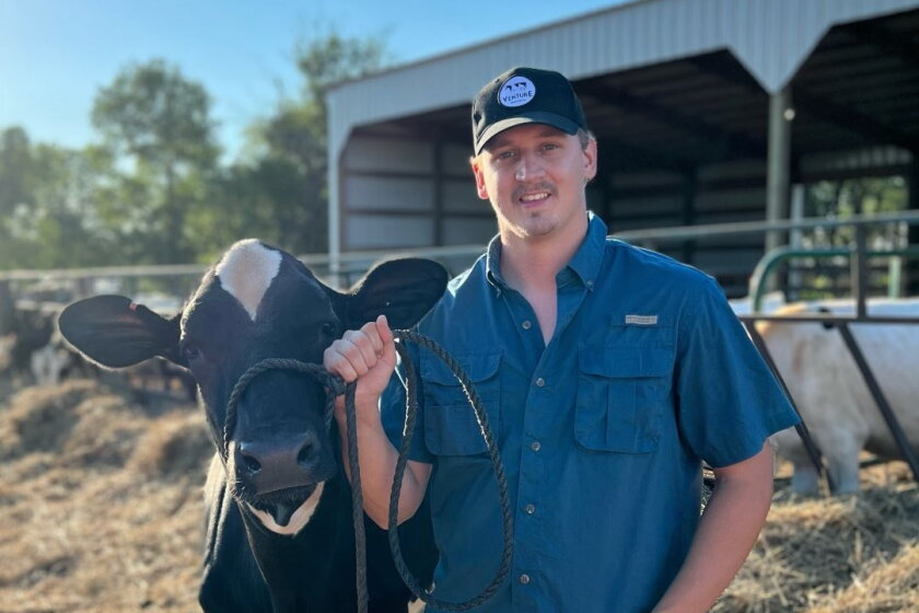 Austin Ripp South Dakota State Fair will require dairy cows to be tested for H5N1 ...