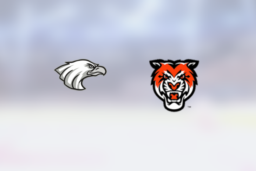 img_500214325_rinklive.png
