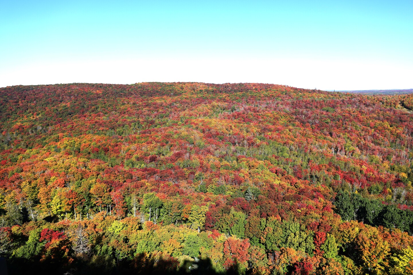 Photos And Video Fall Colors Near Peak Bring Visitors Up North Shore photos-and-video-fall-colors-near-peak-bring-visitors-up-north-shore