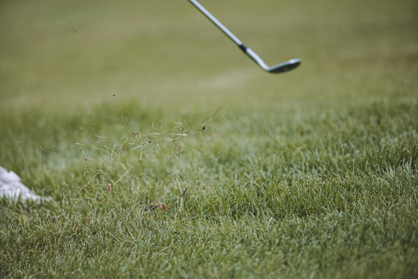 5-12-23MitchellInvitationalGirlsGolf-20.jpg