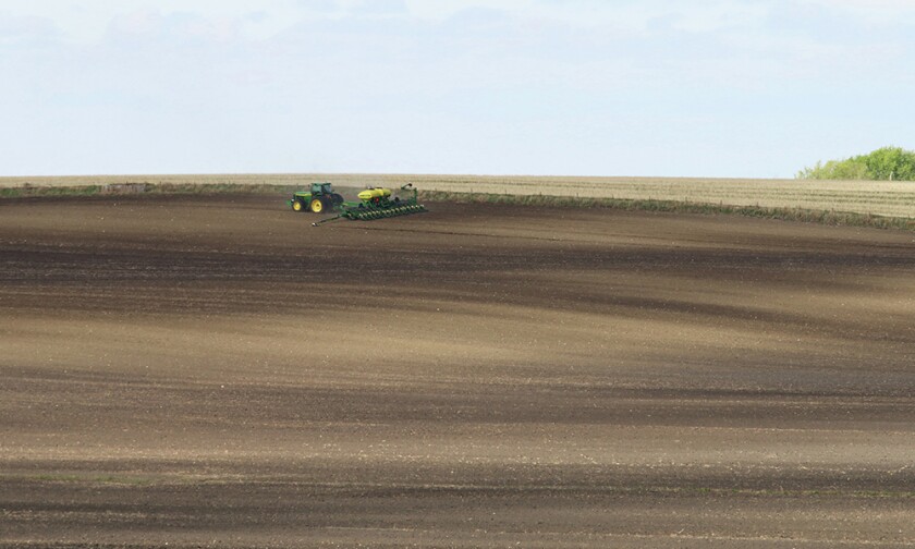 2392141 + Cultivation 3-Protrusion. jpg