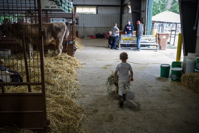 Mower County Fair