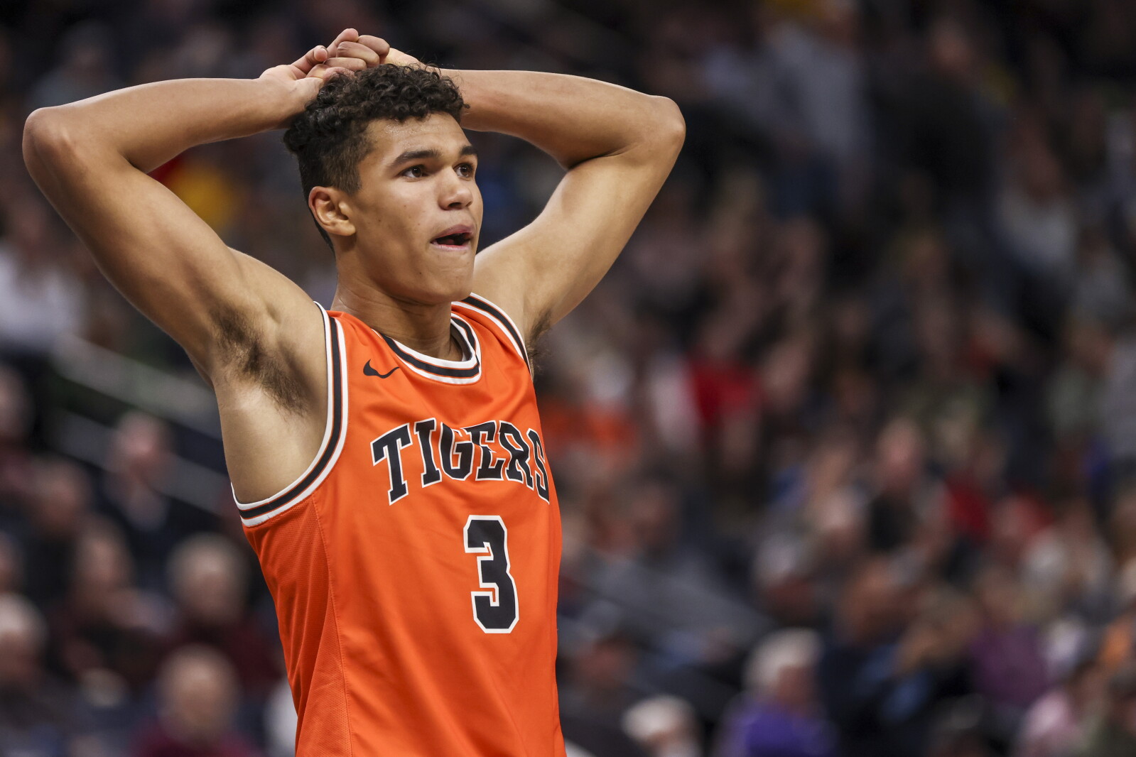 Tyler Ruttle Prep boys basketball: Russell-Tyler-Ruthton knocks off Cherry in state ...