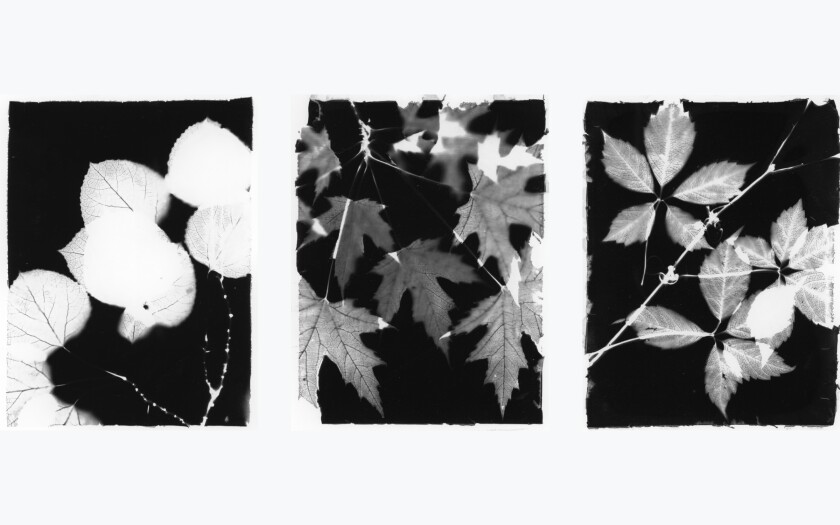 091321.F.FF.ARTS.webcollage.jpg