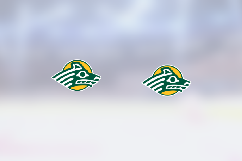img_500236203_rinklive.png