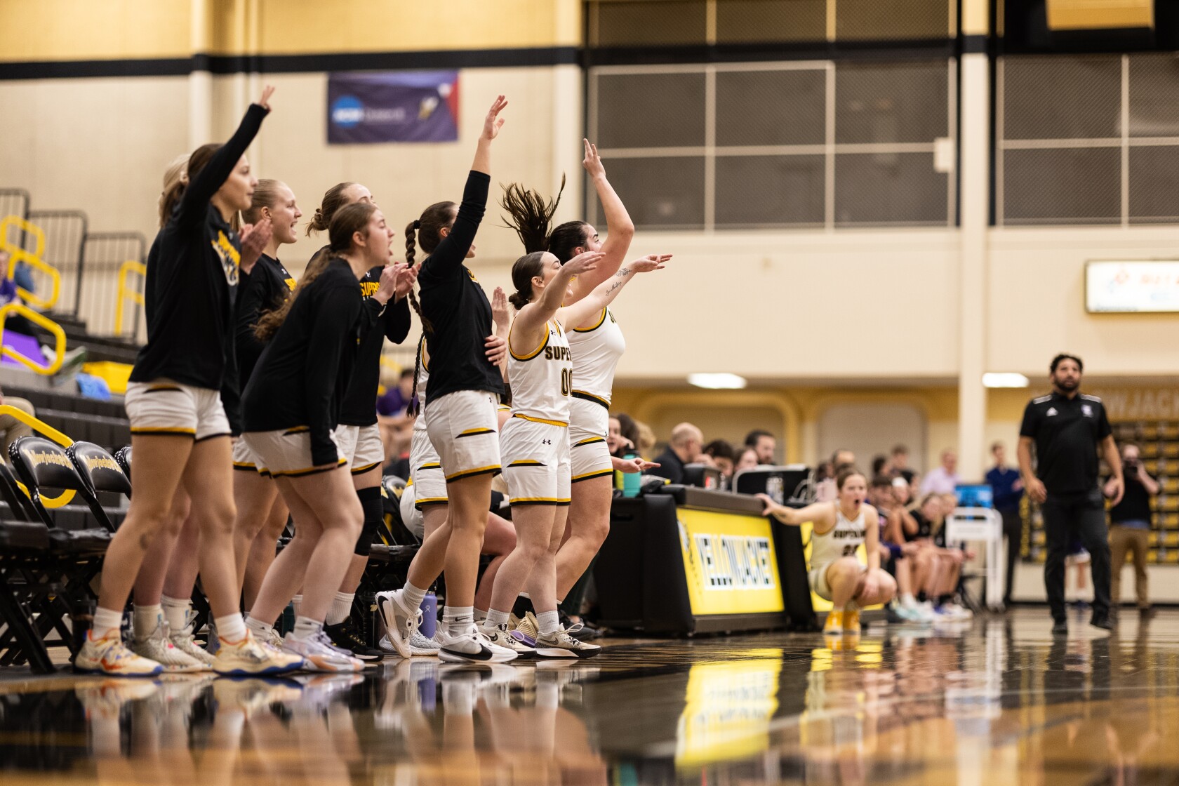 Yellowjacket Report UWS Women Dominate Conference Opener Duluth News yellowjacket-report-uws-women-dominate-conference-opener-duluth-news