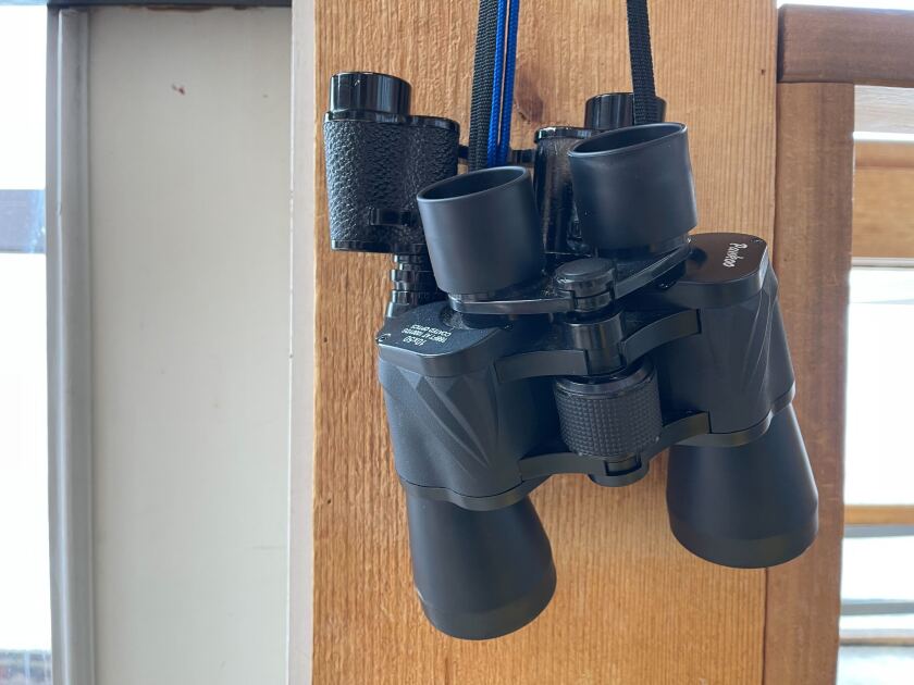 Two pairs of binoculars hang from straps.