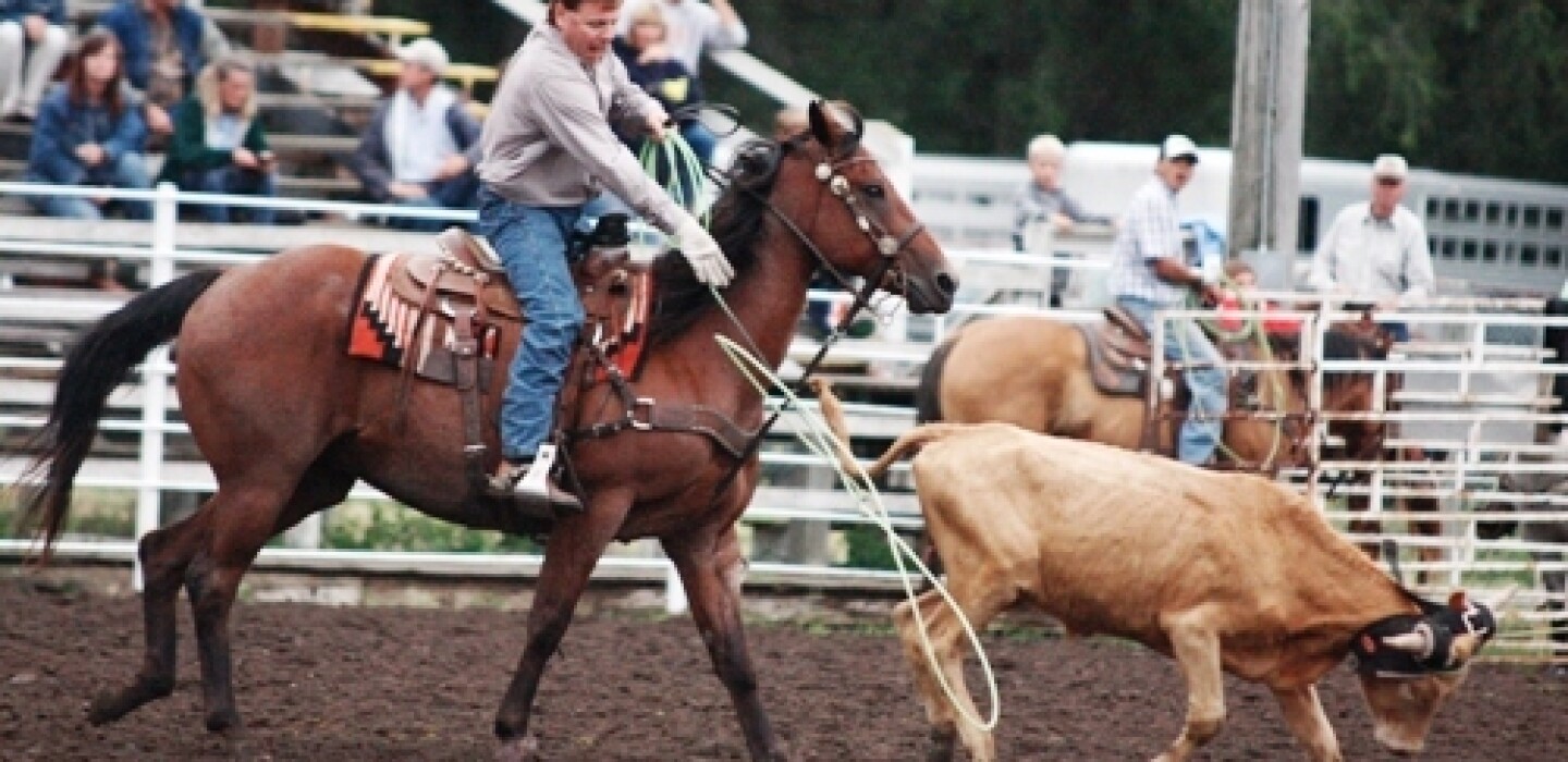 High-caliber cowboys expected at 41st annual Corn Palace Stampede Rodeo ...