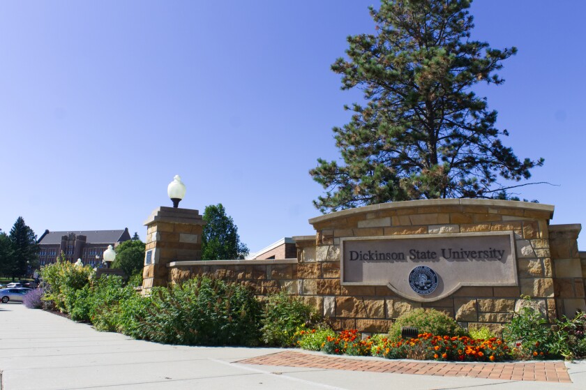 DSU.jpg