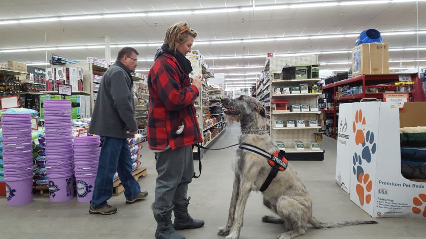 121419.B.FF.DOGFRIENDLY05.jpg