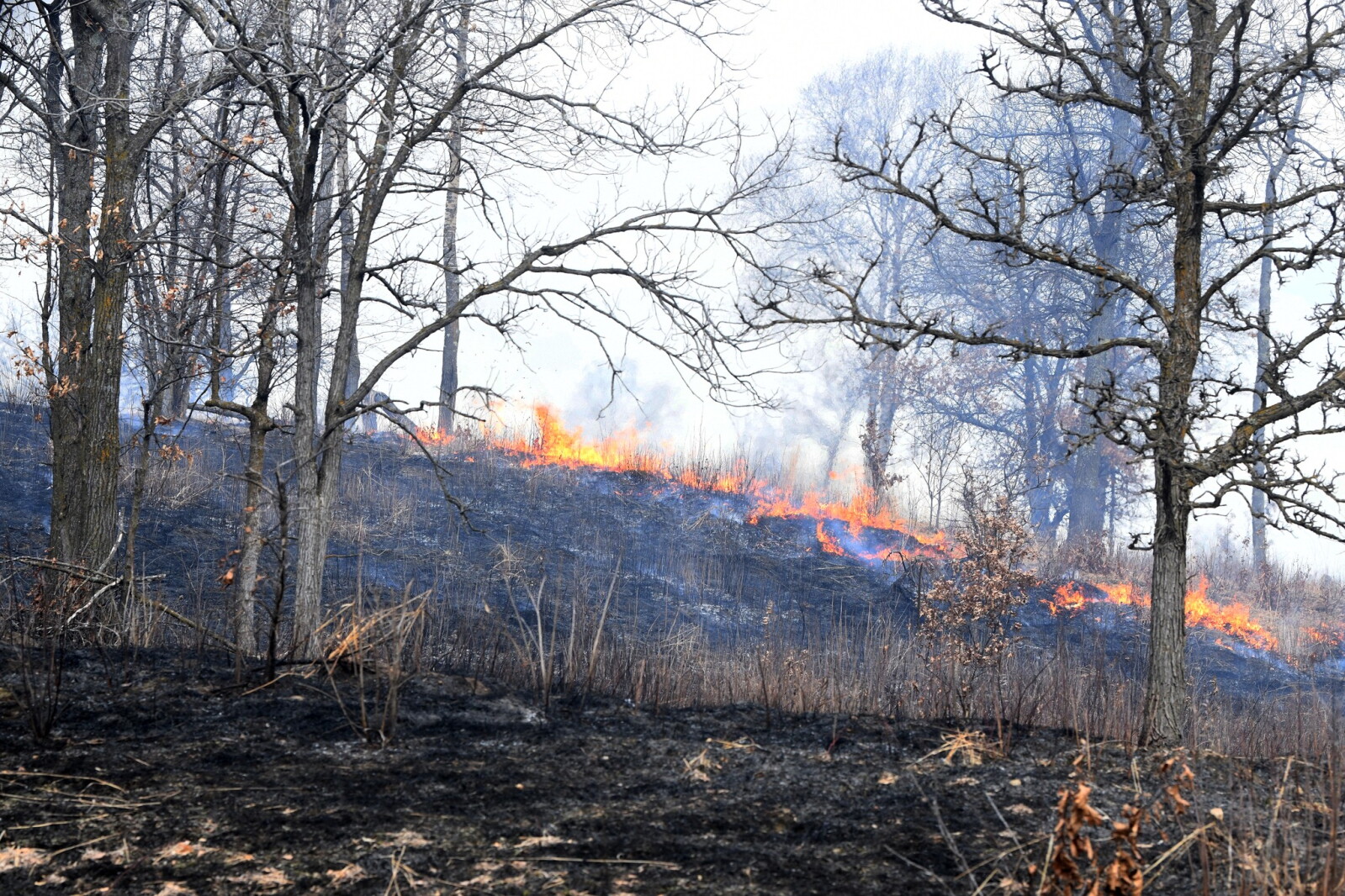 Fire crews battle wildfire at Camp Ripley - InForum | Fargo, Moorhead ...