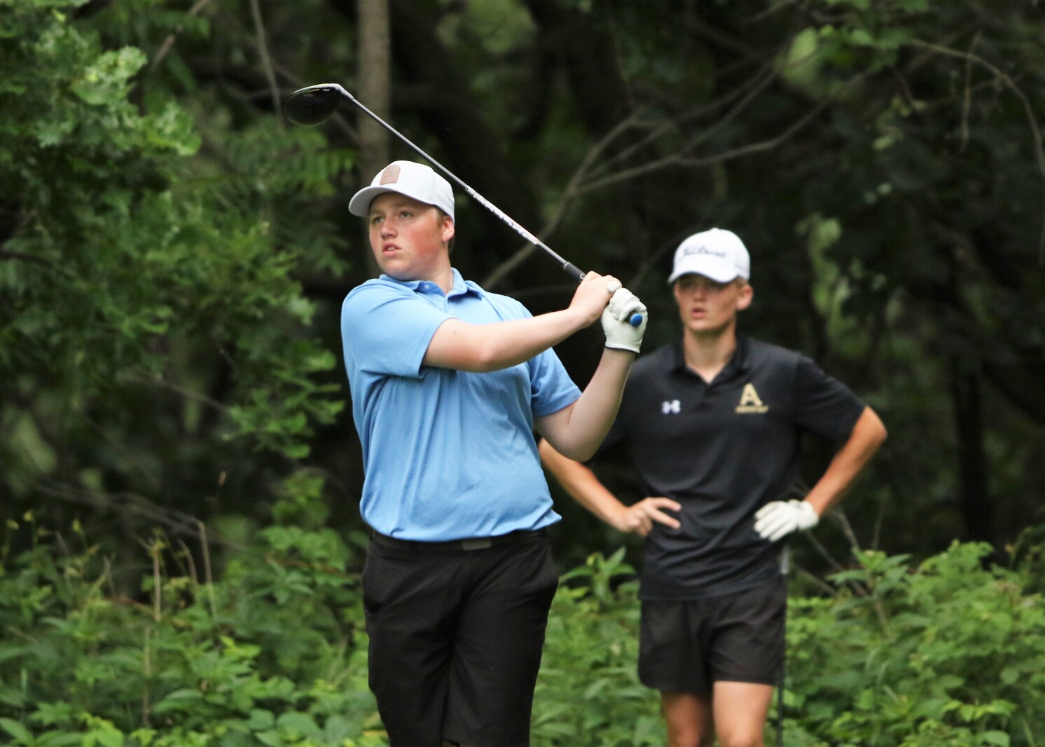 Golfer watches the ball.