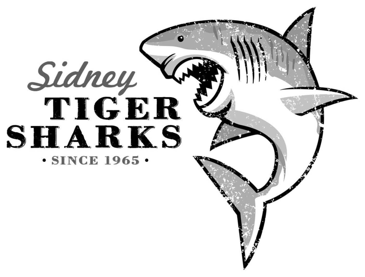 Tiger Shark girls win state meet in Plentywood