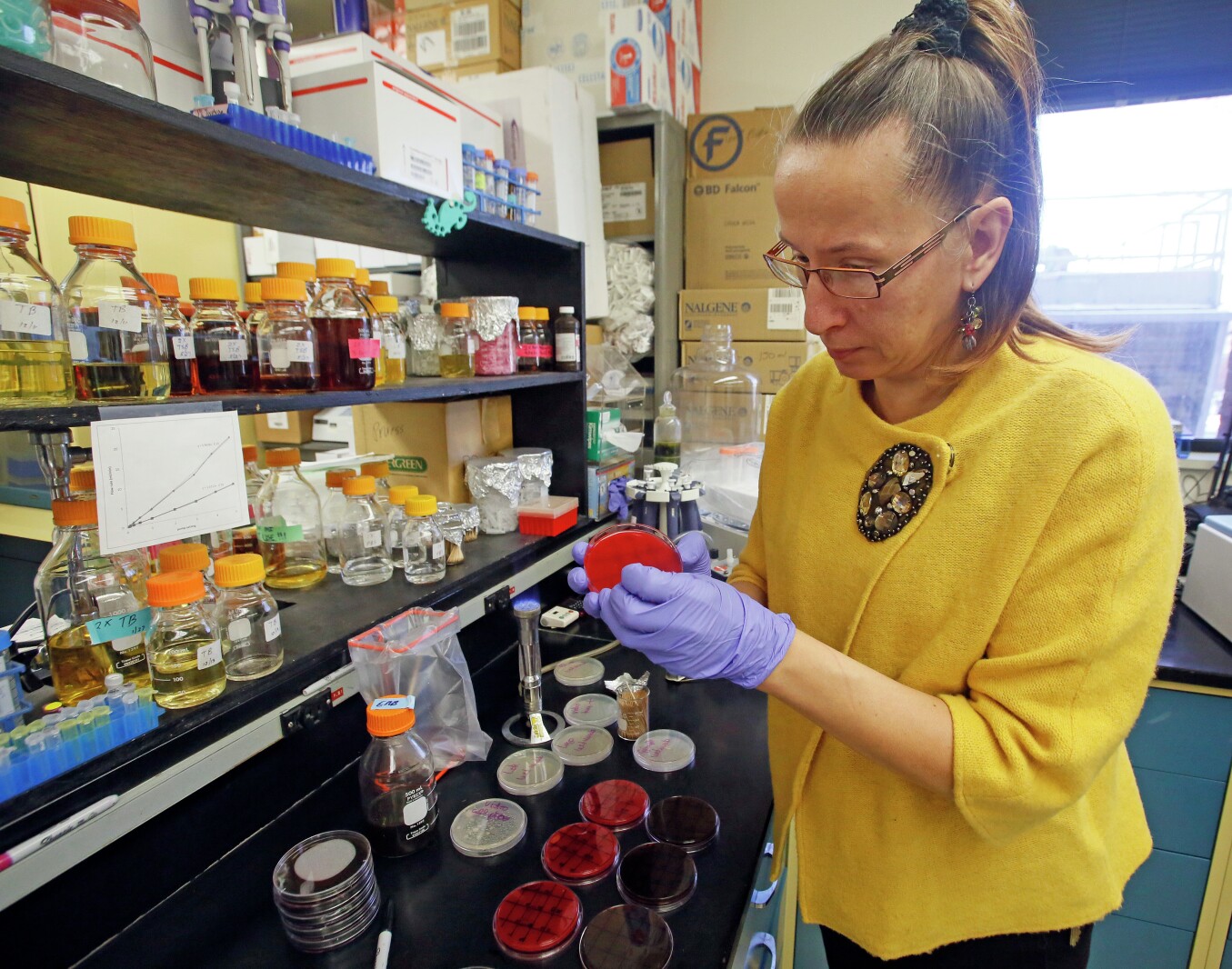 Children s Toys And Bacteria Whose Toys Carry The Most Germs Grand children-s-toys-and-bacteria-whose-toys-carry-the-most-germs-grand