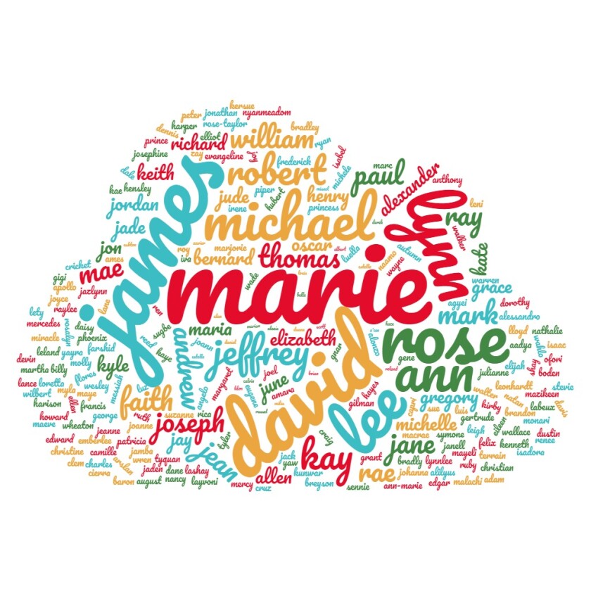 A word cloud with the names Marie, James, David and Lynn dominating the others