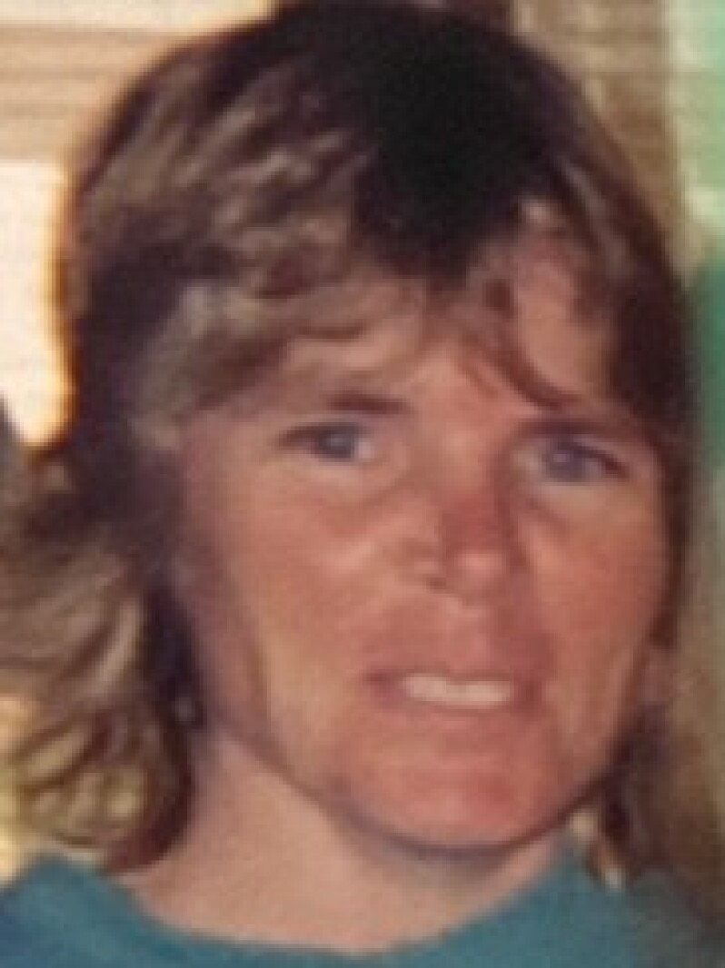 Terry Lynn Gunderson Duluth News Tribune News, weather, and sports