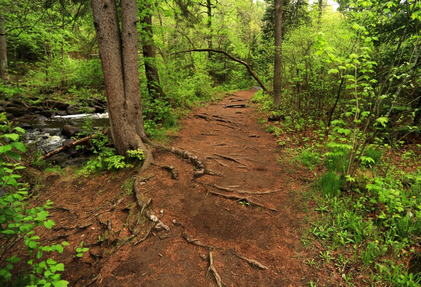 File: Chester Trail.jpg