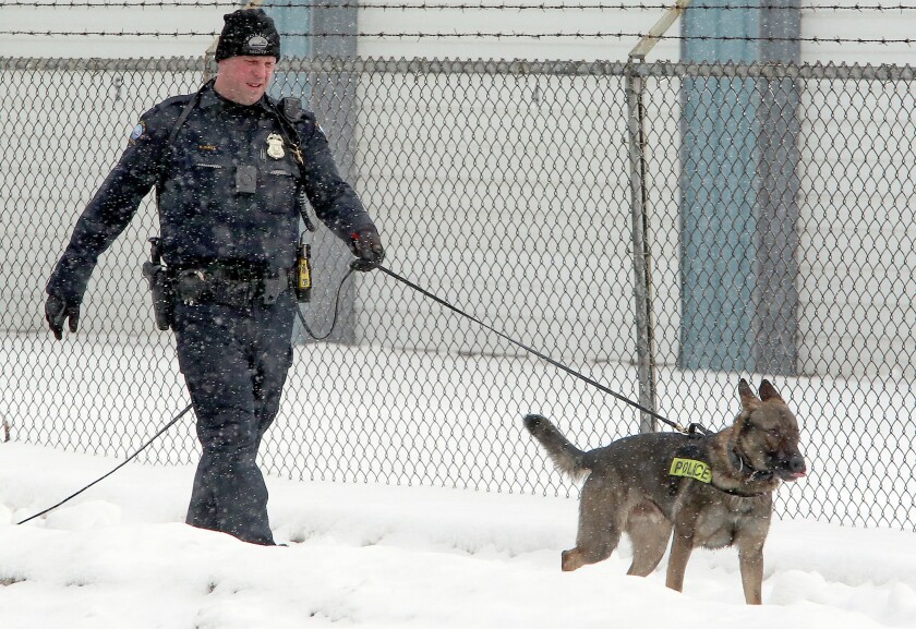 K9 Hondo file