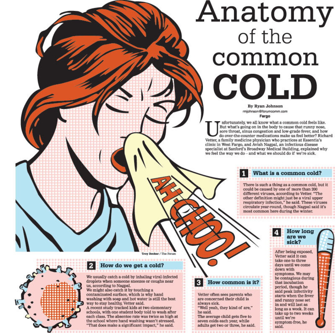 Common Cold Classification Anatomy of the common cold: Doctors break down what's going on and what ...