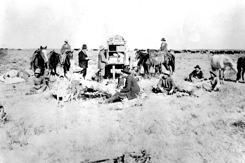 Great Western Cattle Trail brought Texas Longhorns to the High Plains