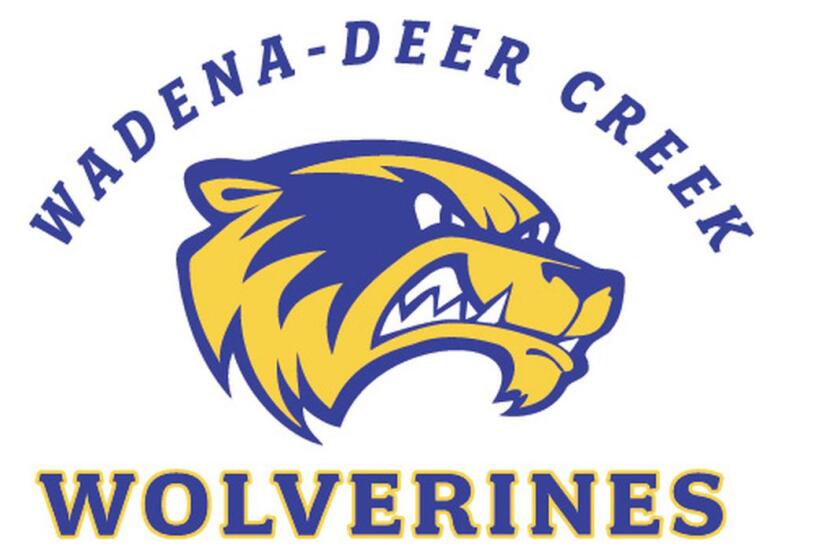 Blue and yellow logo of a wolverine.