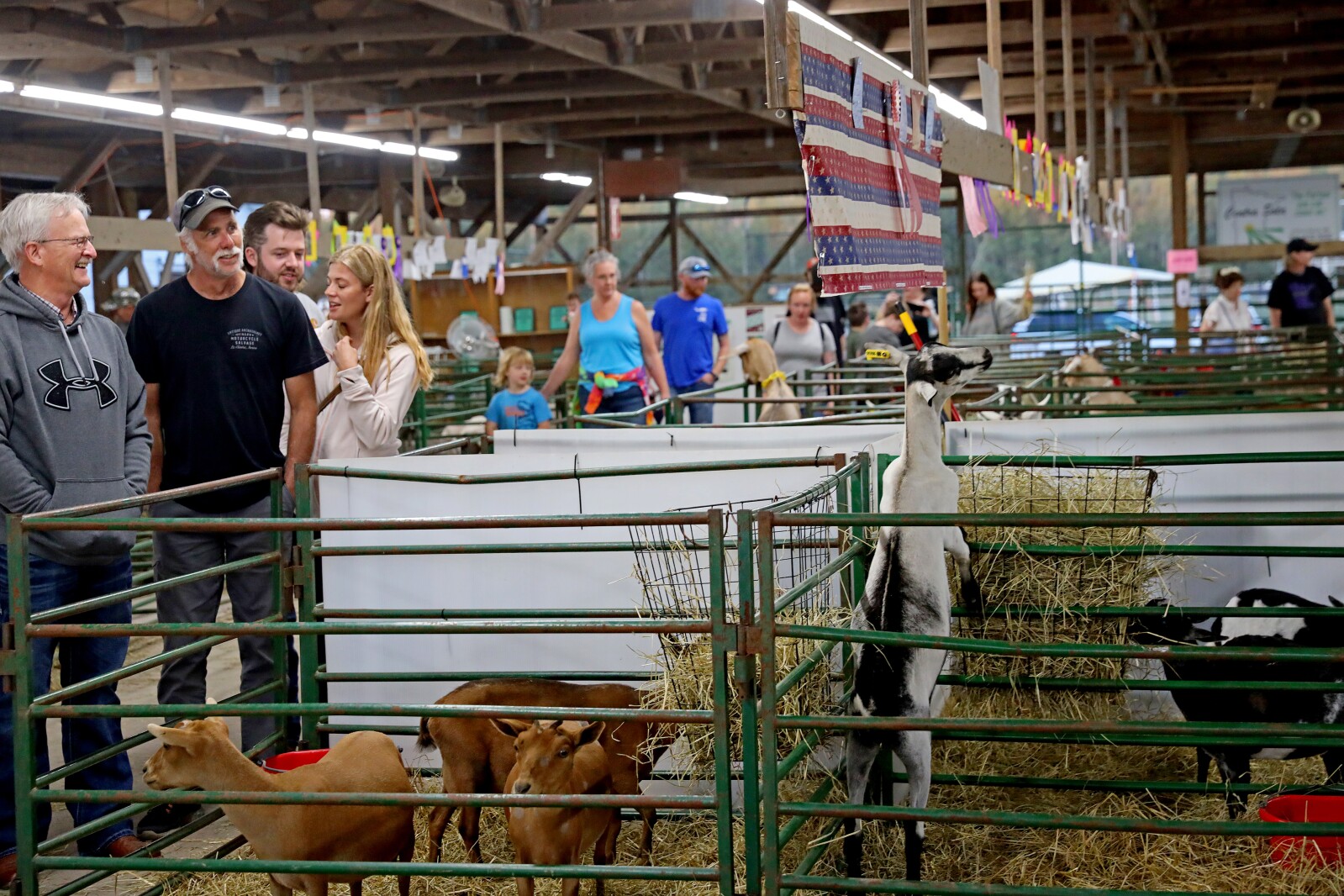 Crow Wing County Fair Aug. 2022.
