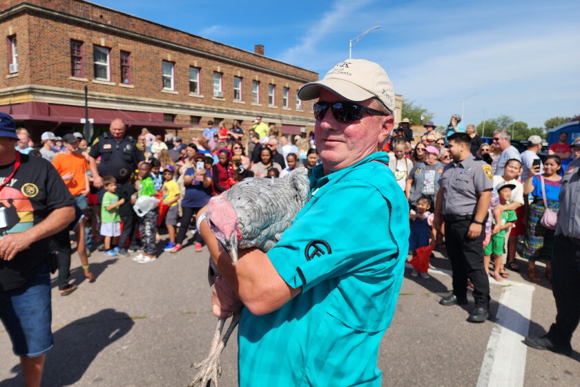 Turkey Raffle Winner Winners of King Turkey Day raffle announced - The Globe | News, weather ...