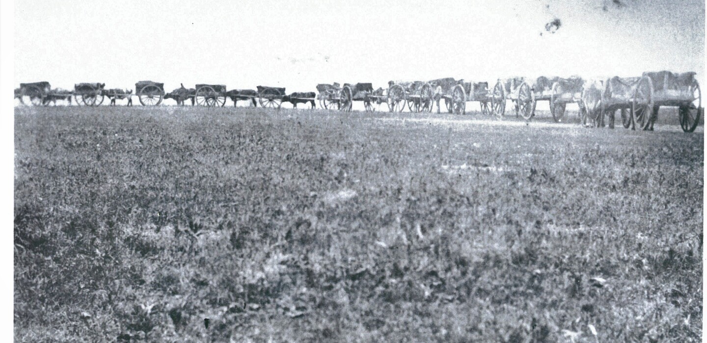 History Of The Woods Branch Of The Red River Trails 1844 1870 Wadena Pioneer Journal News Weather Sports From Wadena Minnesota History Of The Woods Branch Of The Red River Trails 1844 1870 Wadena Pioneer Journal News Weather Sports From Wadena Minnesota