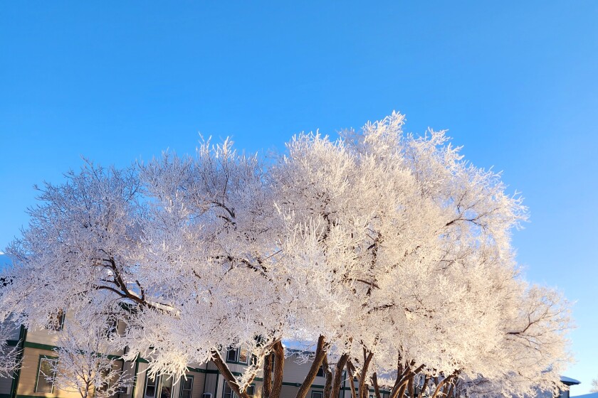Frost sub 1-6-23 8.jpg