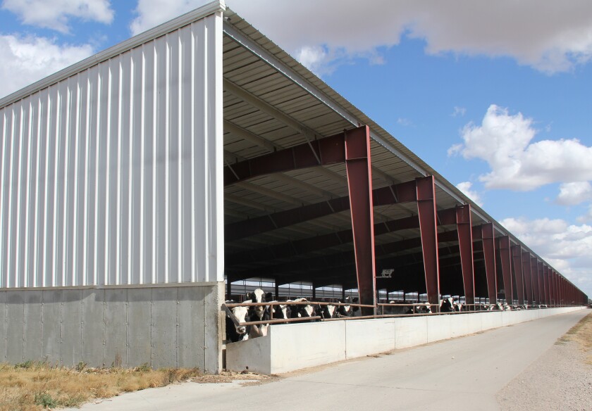 060121.CB.DG.RRTHIERFEEDLOTS 4.jpg