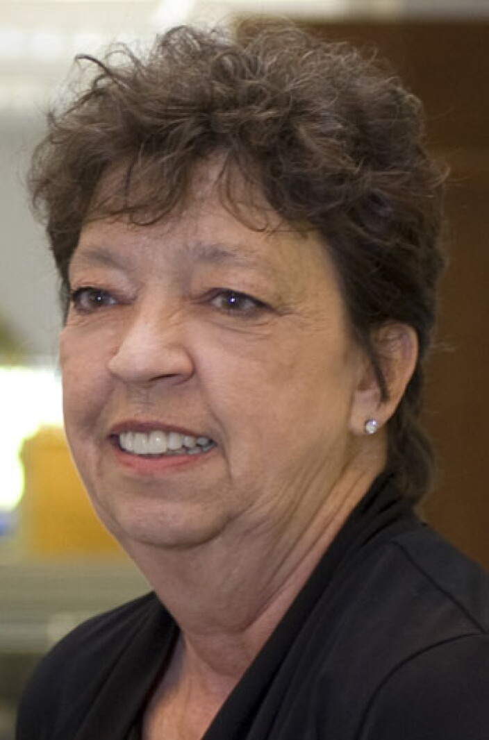 Elizabeth Radecki Mn Rochester council to consider clerk appointment - Post Bulletin ...