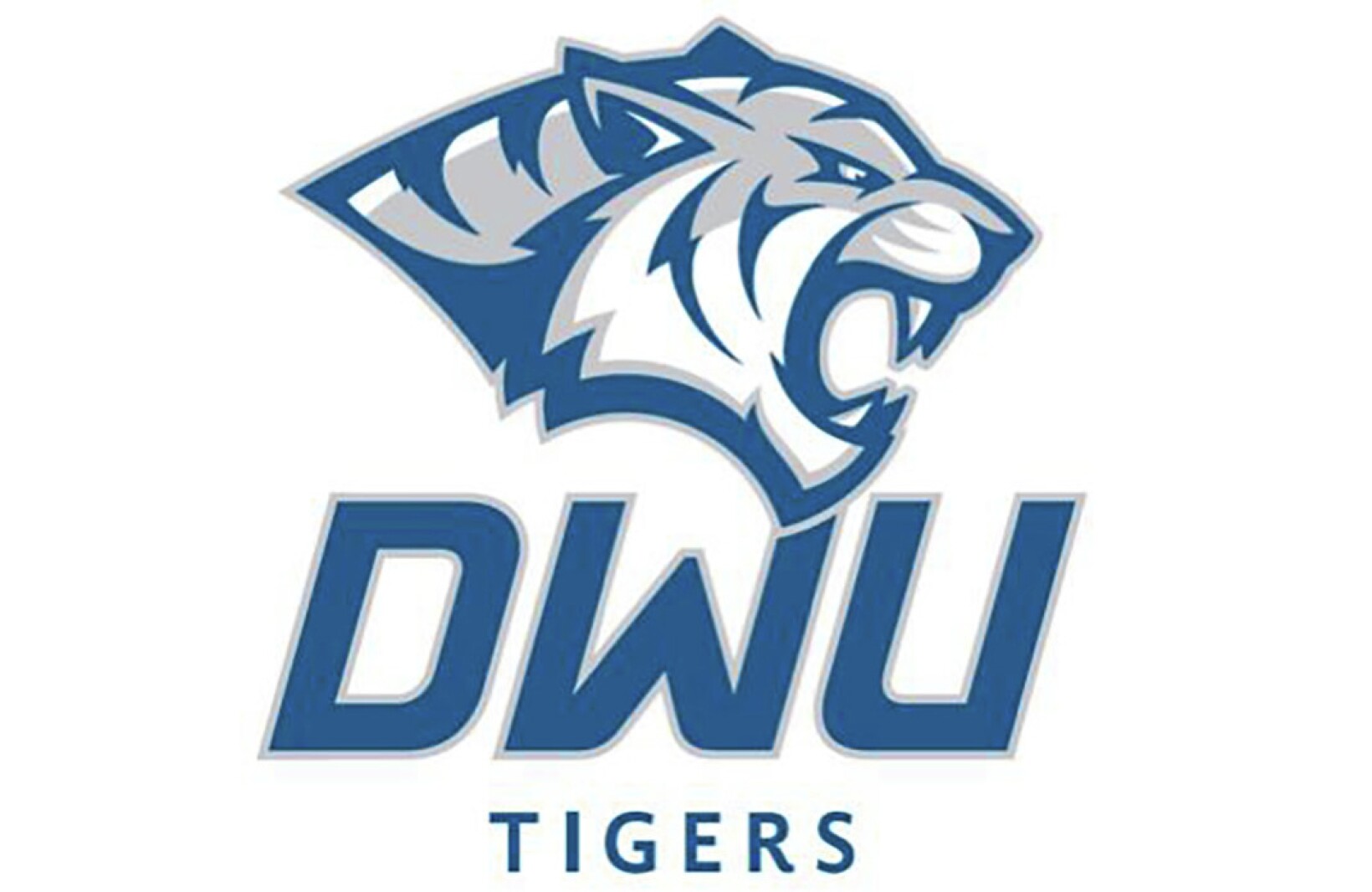 Tiger men rally in Arizona for victory, continuing road success ...