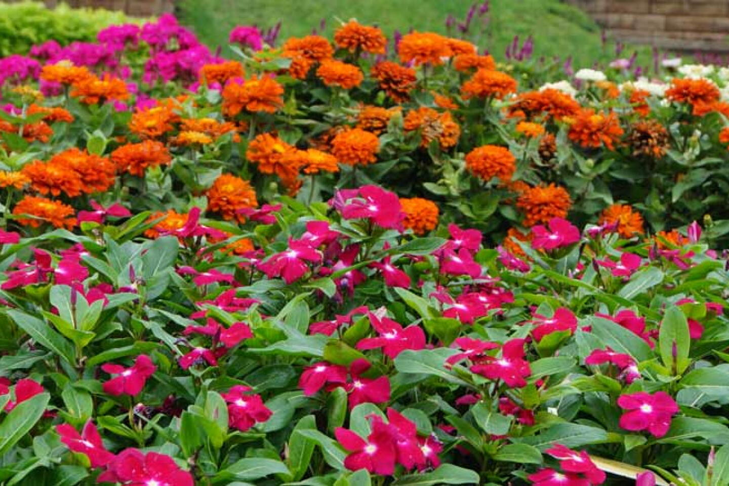 2025.West Central Research and Outreach Center Public Gardens.jpg