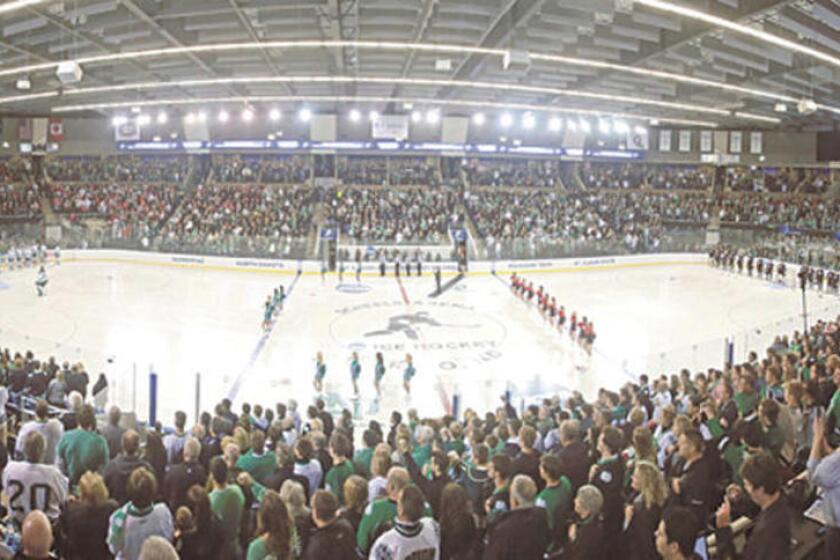 2049742+hockey.jpg