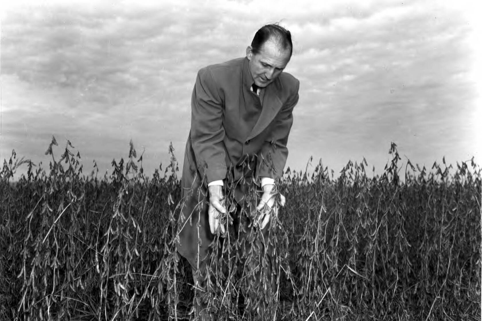 Jean Farming Routine Corn and soybeans remain acreage kings now and for the foreseeable ...