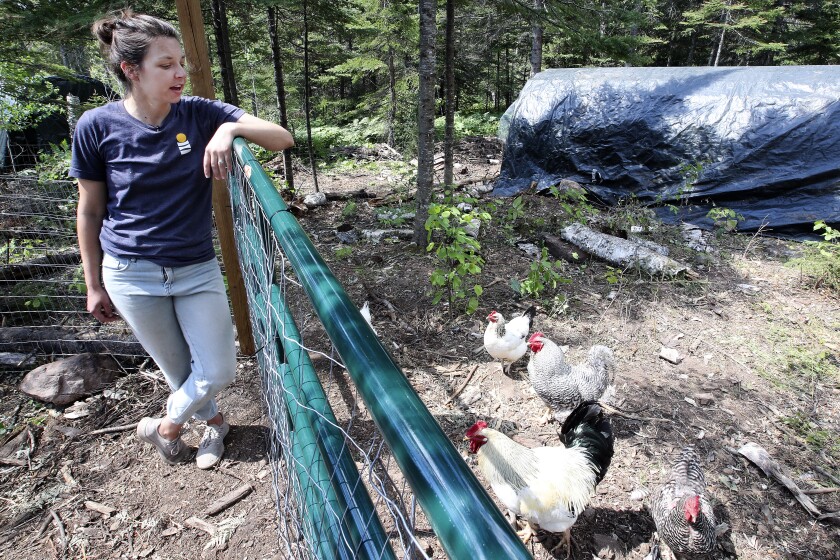 Woman looking at chickens.
