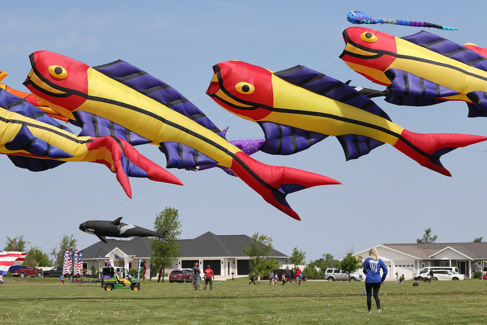 True Kite Kites in the air - Jamestown Sun | News, weather, sports from Jamestown ...
