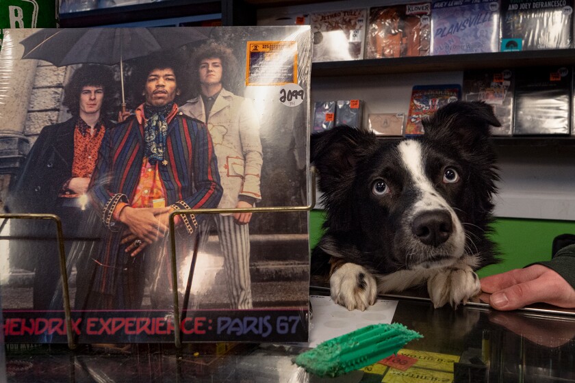 011522.B.FF.VINYL.PENNY