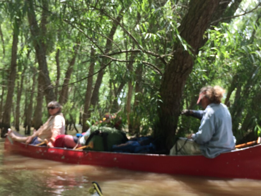 Paddling a flooded forest Deb K, Deb W and Anne.jpg