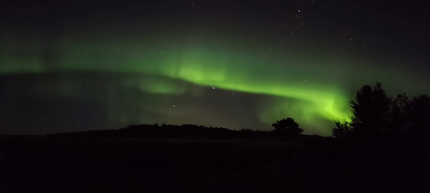 Northern lights near Roseau Megan McIntyre.jpg