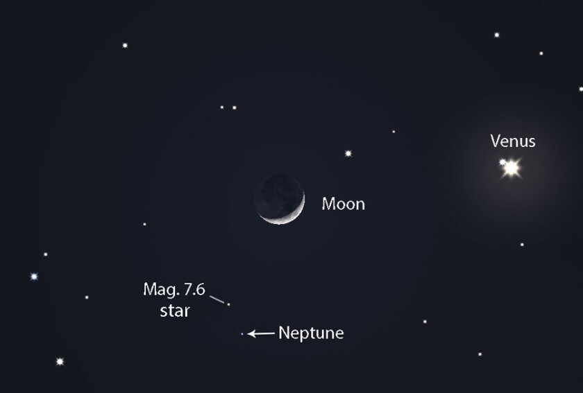 Neptune and Venus