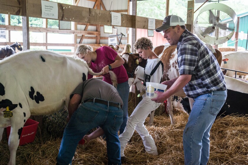 Wabasha County Fair