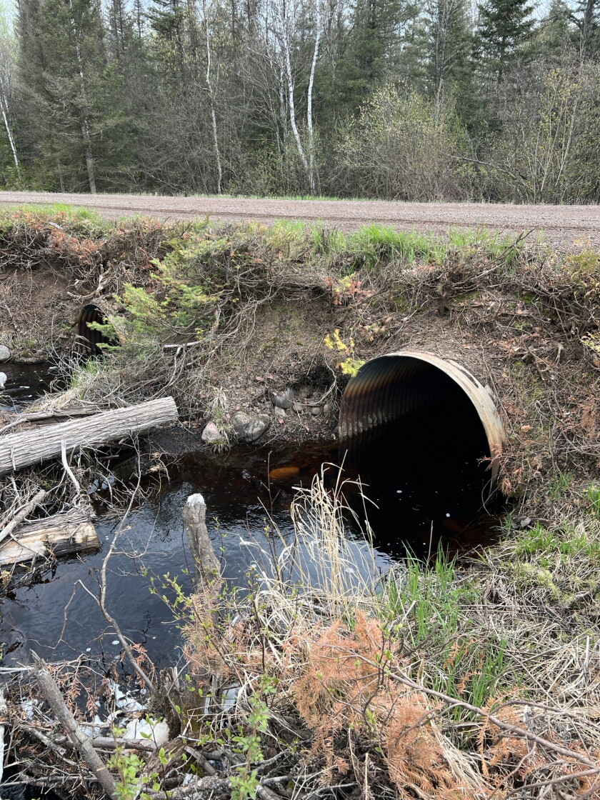WilburCreek-before.jpeg