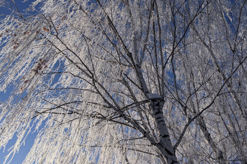 Frost sub 1-6-23 12.jpg
