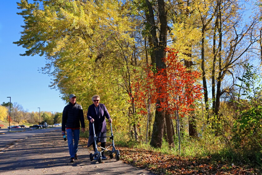 Short Walk Fall Admiring fall colors - Brainerd Dispatch | News, weather, sports from ...