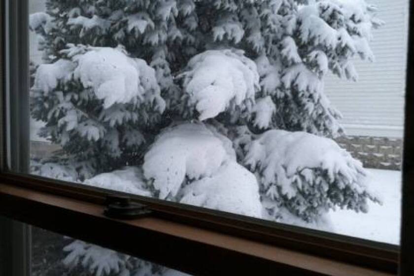 Winter view