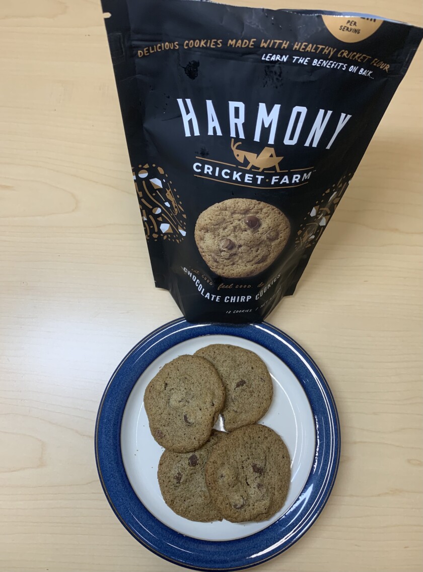 Harmony Cricket Farm Chocolate Chirp Cookies photo by John Sievers.jpg
