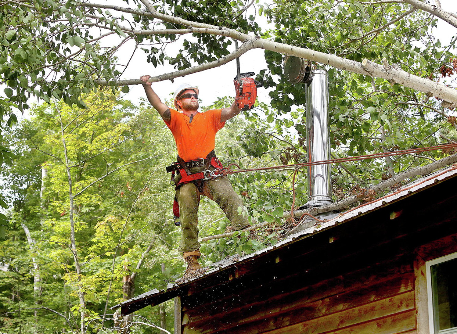 Tree Overtime Logging overtime: Duluth-area tree services have their busiest summer ...