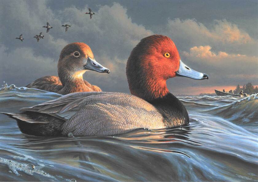 100921-2022-2023-Federal-Duck-Stamp-Winner-James-Hautman-USFWS.jpg